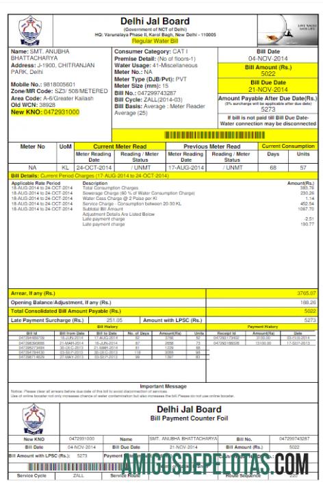 imprimível ÍNDIA DELHI JAL BOARD Conta de serviços públicos Word e modelo PDF